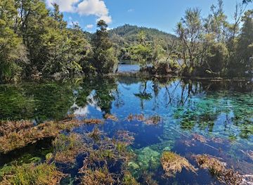 new-zealand/abel-tasman-national-park/attraction/te-waikoropupu-springs