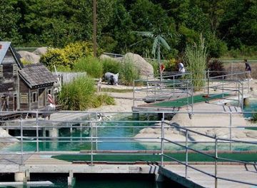 indiana/morgan-monroe-state-forest/attraction/rascal-s-fun-zone