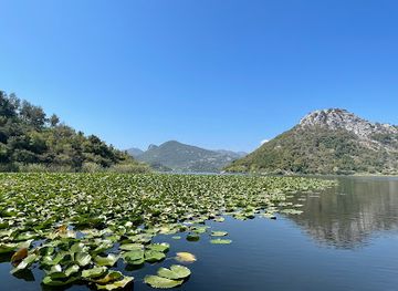 montenegro/skadar-lake-region/attraction/boat-milica