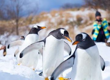 japan/sapporo/attraction/otaru-aquarium