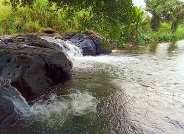 mauritius/grand-port/attraction/goon