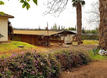 israel/kfar-saba/attraction/kfar-hess-parrot-farm