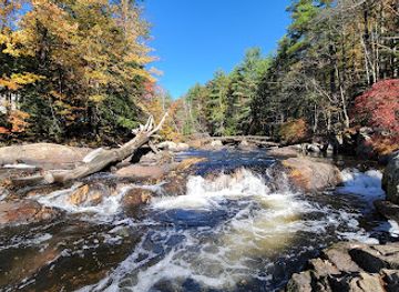 new-hampshire/lakes-region/attraction/wildcat-falls