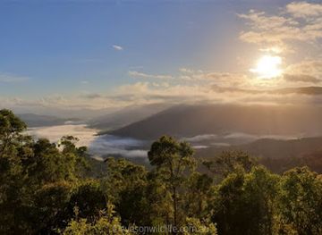 australia/atherton-tablelands/attraction/eyes-on-wildlife-birding-wildlife-tours-atherton-australia