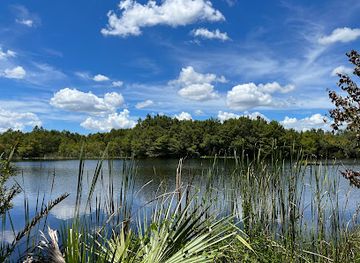 florida/fort-myers/attraction/six-mile-cypress-slough-preserve