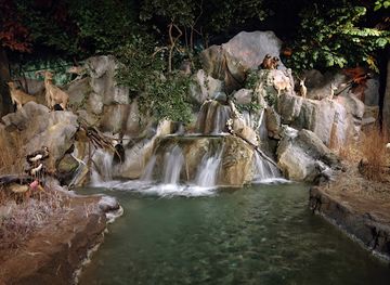 kansas/salina/attraction/the-museum-at-rolling-hills-zoo