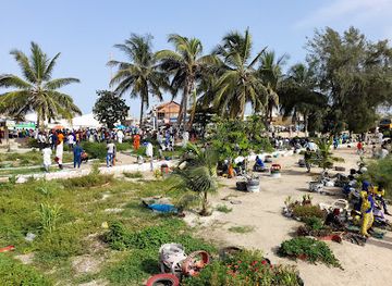 senegal/saint-louis/attraction/faidherbe-bridge