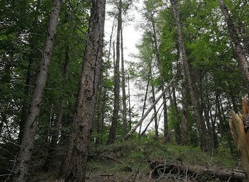 slovakia/slovak-paradise-national-park/attraction/bykarka