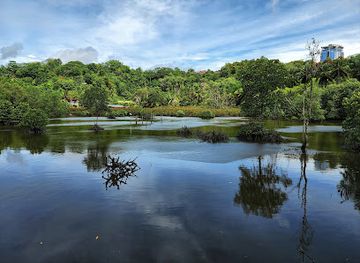 malaysia/kinabalu-national-park/attraction/kota-kinabalu-wetland-ramsar-site