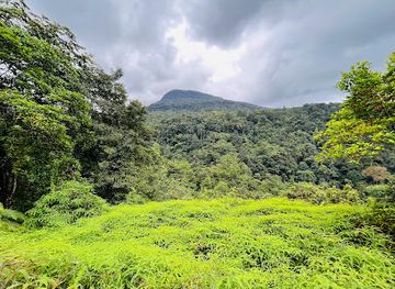 sri-lanka/kegalle-district/attraction/sri-padaya-kuruwita-erathna-trail-start