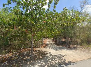 mexico/tulum/attraction/entrance-chan-actun-ha