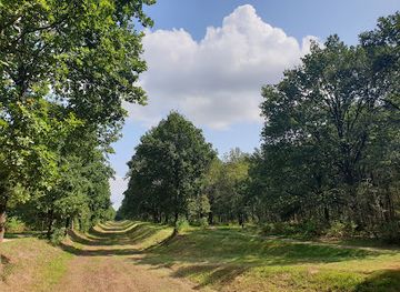 belgium/land-of-waas/attraction/clinge-forests
