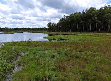 poland/słowiński-national-park/attraction/wielkie-bagno-slowinskiego-parku-narodowego