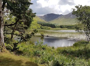 ireland/connemara-national-park/attraction/maladrolaun-lake