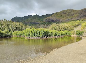 mauritius/chamarel-coloured-earth/attraction/peninsule-de-mangrove