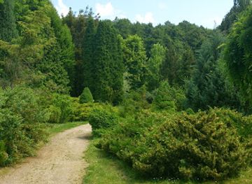 hungary/bukk-national-park/attraction/erdoteleki-alder-bog-wood-protected-area