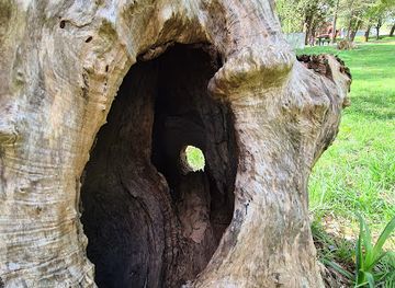 uruguay/cerro-arequita/attraction/zorrilla-de-san-martin-park