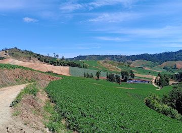 dominican-republic/constanza/attraction/campo-agricola