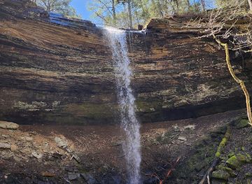 arkansas/ozark-national-forest/attraction/bingham-hollow-falls-trailhead