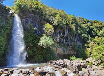 new-zealand/manawatu-wanganui/attraction/dawson-falls