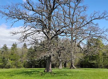 slovakia/slovak-karst-national-park/attraction/silicka-planina