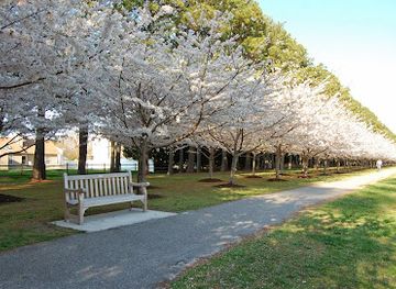 virginia/chesapeake-bay-region/attraction/red-wing-park
