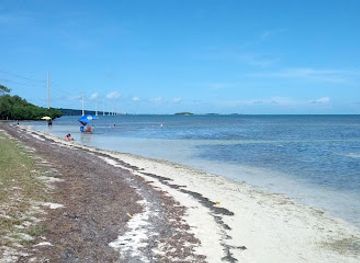 florida/florida-keys/attraction/windley-key-fossil-reef-geological-state-park