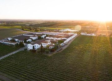 portugal/evora/attraction/joao-portugal-ramos-wines