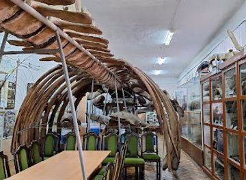 ukraine/chernivtsi/university-hill/attraction/pryrodnychyy-muzey-chernivetskoho-natsionalnoho-universytetu-imeni-yuriya-fedkovycha