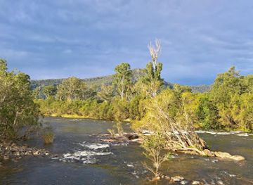 australia/northern-rivers/attraction/broadwater-bridge-mann-river