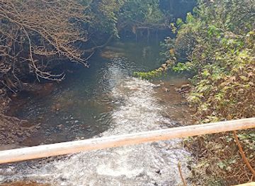 cameroon/foumban/attraction/pont-du-nshi-njiketnkie