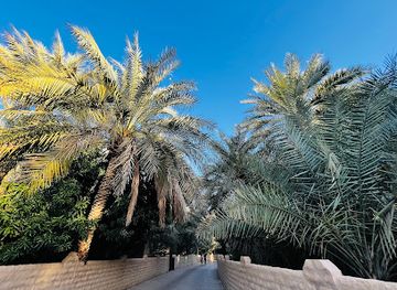 united-arab-emirates/al-ain/al-ain-oasis/attraction/al-ain-oasis