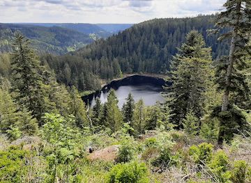 germany/black-forest/attraction/glaswaldsee