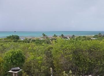 The Bight Park