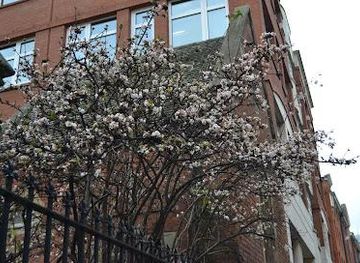 united-kingdom/london/attraction/drury-lane-gardens