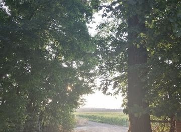 spain/madrid/attraction/ruta-de-paseo-de-los-platanos