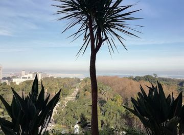 Museum of Fine Arts