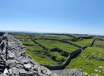 ireland/aran-islands/attraction/blathanna-fiaine-wildflower-walks