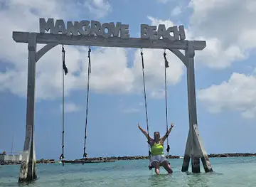 Mangrove Beach Resort swing