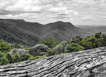 australia/mid-north-coast/attraction/dorrigo-rainforest-centre