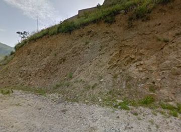 bhutan/samdrup-jongkhar-district/attraction/mango-tree