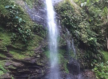 trinidad-and-tobago/argyle-waterfall/attraction/madamas-waterfall