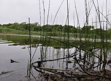 rhode-island/trustom-pond-national-wildlife-refuge/attraction/trustom-pond