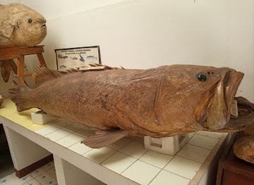 madagascar/atsimo-andrefana/attraction/musee-rabesandratana