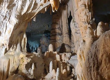 slovenia/postojna-cave/attraction/postonskja-jama