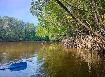 malaysia/kuantan/attraction/fireflies-watching-kelip-kelip-cherating-mangrove-river