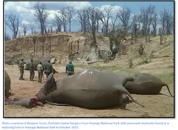 SAFARI IN AFRICA AND VOLUNTEERING