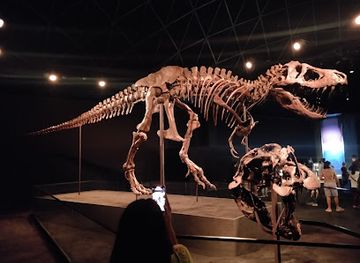 united-arab-emirates/saadiyat-island/attraction/natural-history-museum-exhibition-abu-dhabi