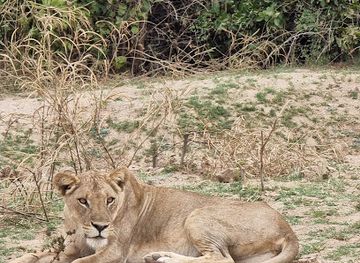 zambia/luapula-province/attraction/zambia-national-park