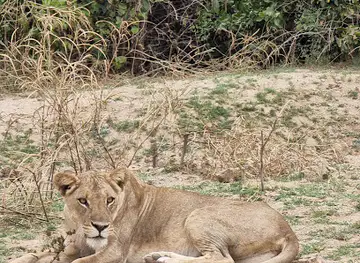 Zambia national park